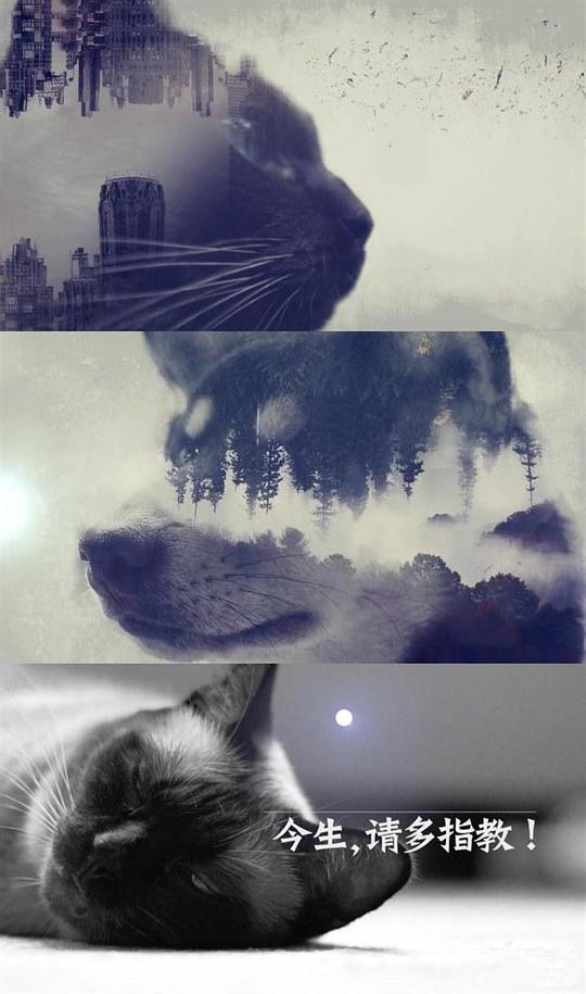 今生,请多指教第二季