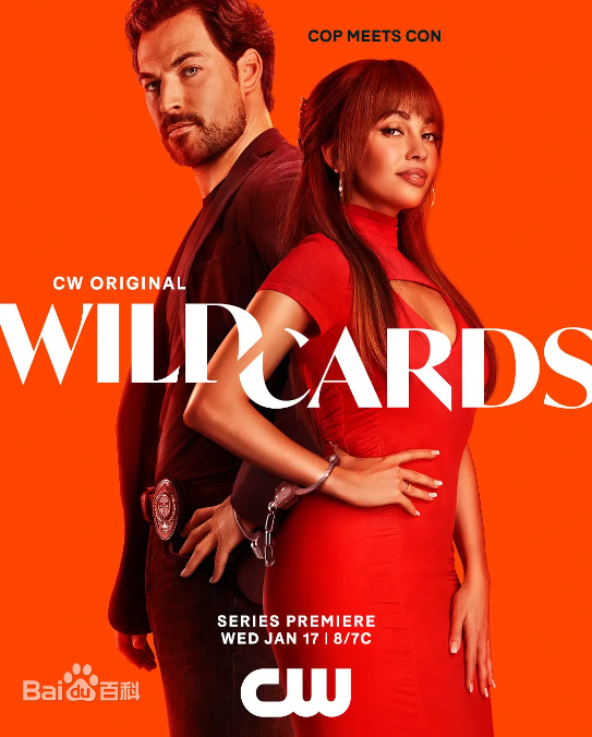 百变王牌第三季封面图