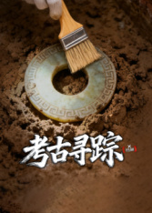 X档案考古寻踪封面图