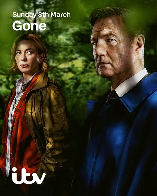 消失的妻子2026封面图