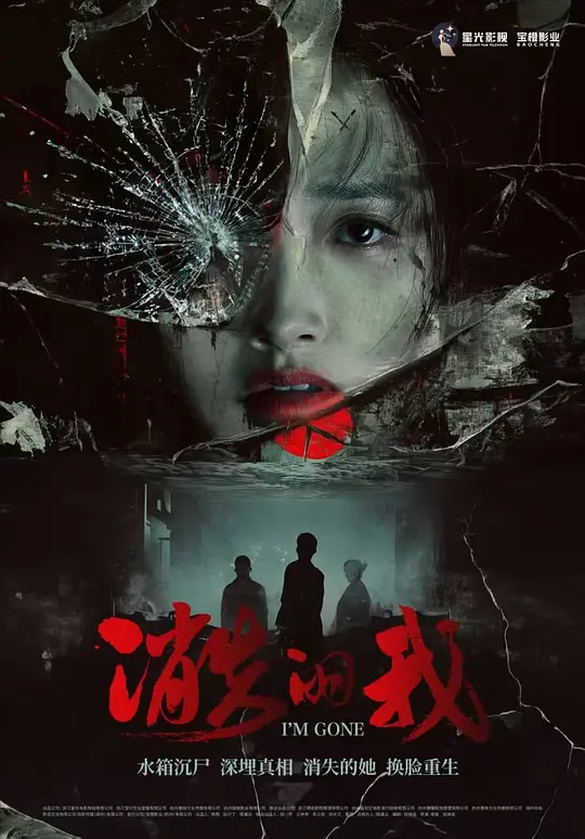 消失的我海报