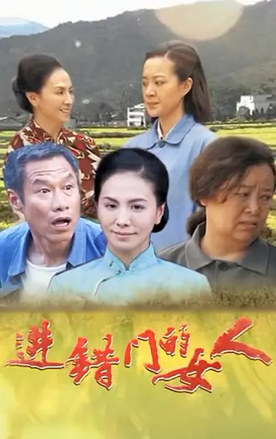 进错门的女人海报