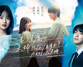 要再做一次夫妇吗？～伪装夫妇～海报
